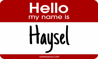 Hello my name is Haysel png download