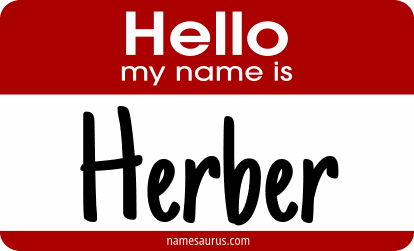 Hello my name is Herber png download