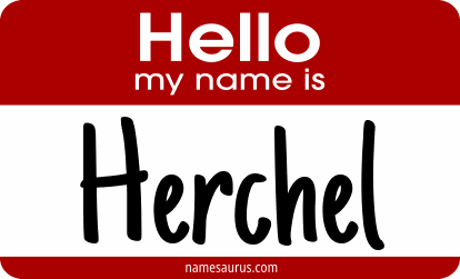 Hello my name is Herchel png download