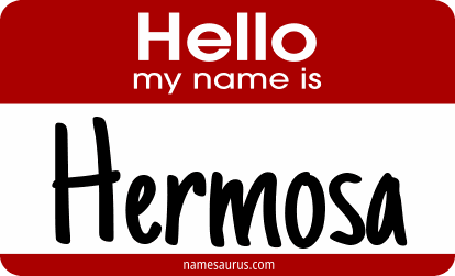 Hello my name is Hermosa png download