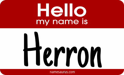 Hello my name is Herron png download
