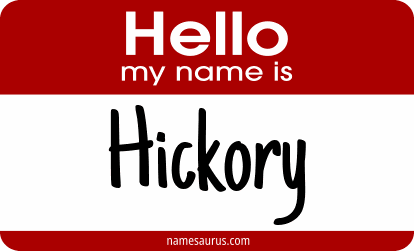 Hello my name is Hickory png download