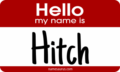 Hello my name is Hitch png download