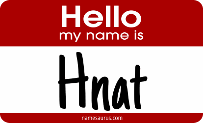 Hello my name is Hnat png download