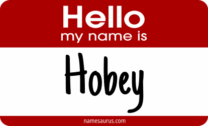 Hello my name is Hobey png download