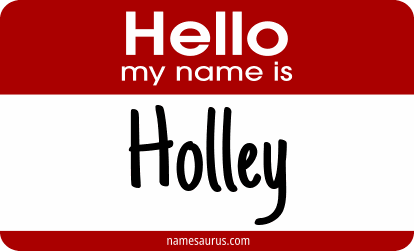 Hello my name is Holley png download