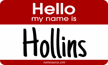 Hello my name is Hollins png download