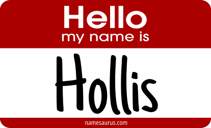 Hello my name is Hollis png download
