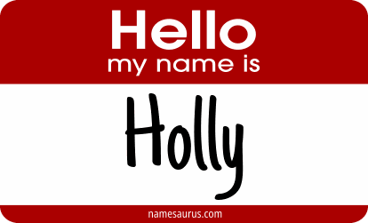 Hello my name is Holly png download