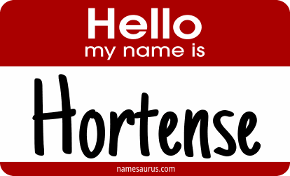 Hello my name is Hortense png download