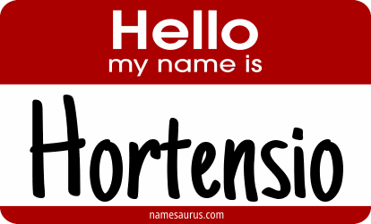 Hello my name is Hortensio png download