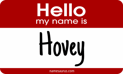 Hello my name is Hovey png download