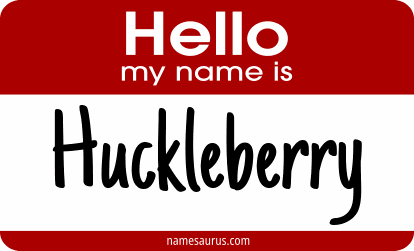 Hello my name is Huckleberry png download