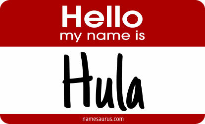 Hello my name is Hula png download
