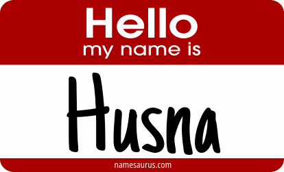 Hello my name is Husna png download
