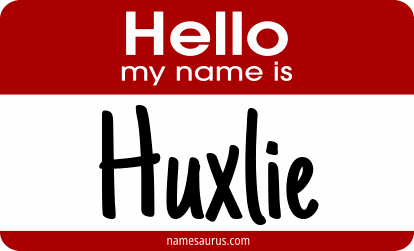 Hello my name is Huxlie png download