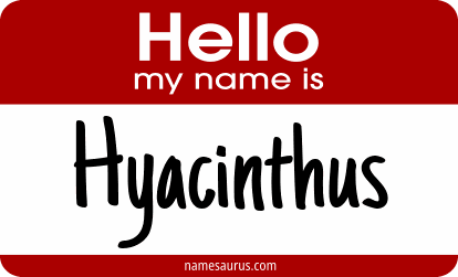 Hello my name is Hyacinthus png download