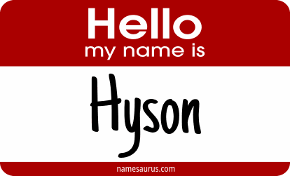 Hello my name is Hyson png download