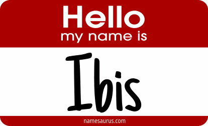 Hello my name is Ibis png download