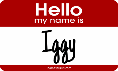Hello my name is Iggy png download