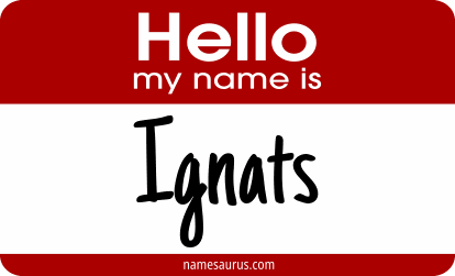 Hello my name is Ignats png download
