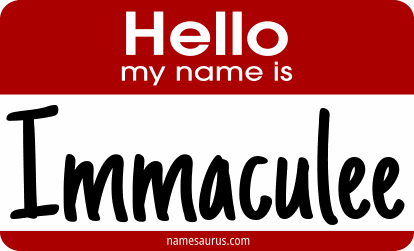 Hello my name is Immaculee png download
