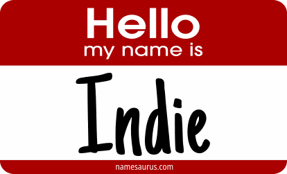 Hello my name is Indie png download