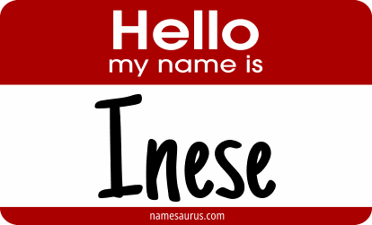 Hello my name is Inese png download