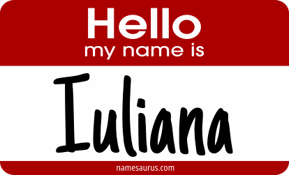 Hello my name is Iuliana png download