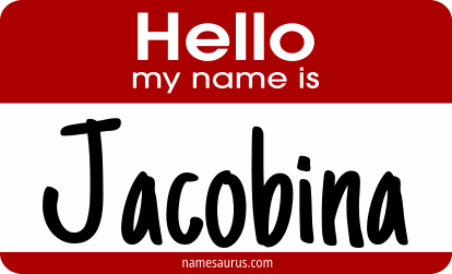 Hello my name is Jacobina png download