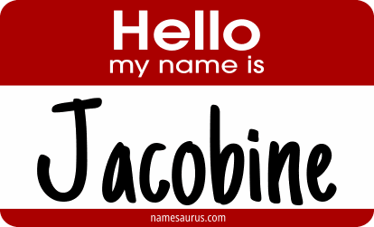 Hello my name is Jacobine png download