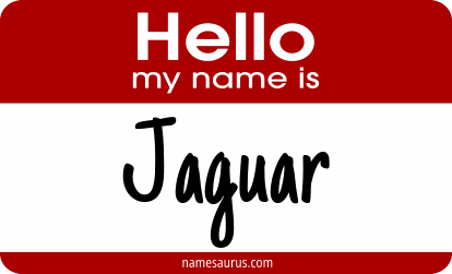 Hello my name is Jaguar png download