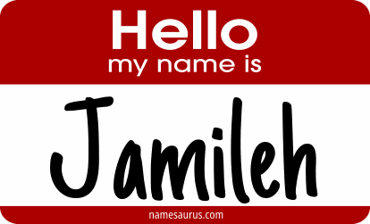 Hello my name is Jamileh png download