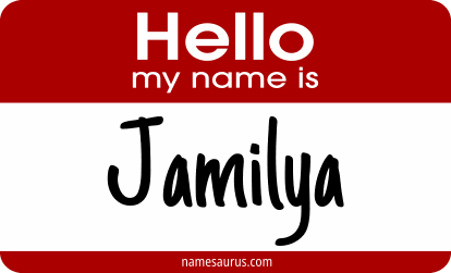 Hello my name is Jamilya png download