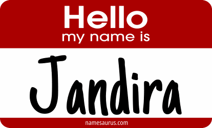 Hello my name is Jandira png download