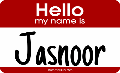 Hello my name is Jasnoor png download
