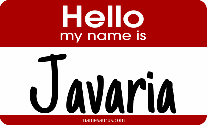Hello my name is Javaria png download