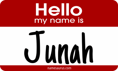 Hello my name is Junah png download