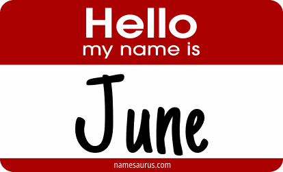 Hello my name is June png download