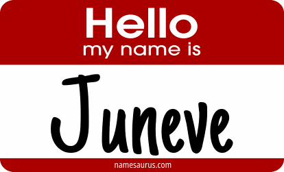 Hello my name is Juneve png download