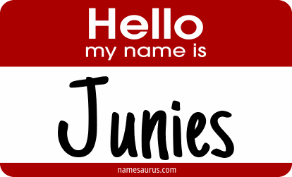 Hello my name is Junies png download