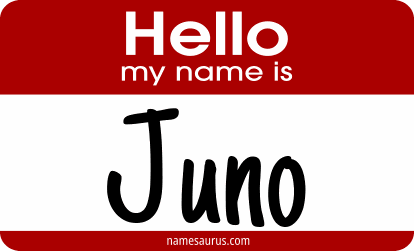 Hello my name is Juno png download
