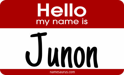 Hello my name is Junon png download