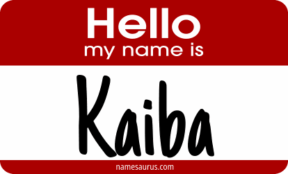 Hello my name is Kaiba png download