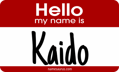 Hello my name is Kaido png download