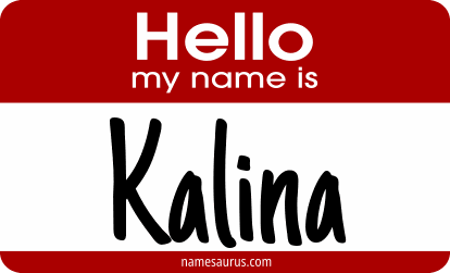 Hello my name is Kalina png download