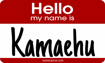 Hello my name is Kamaehu png download