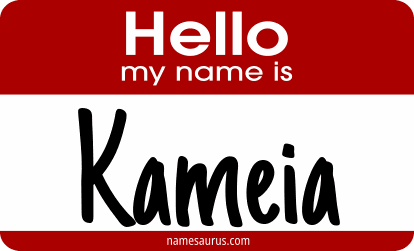 Hello my name is Kameia png download