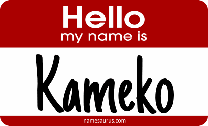 Hello my name is Kameko png download