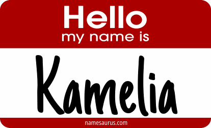 Hello my name is Kamelia png download